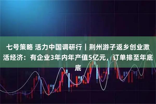 七号策略 活力中国调研行｜荆州游子返乡创业激活经济：有企业3年内年产值5亿元，订单排至年底